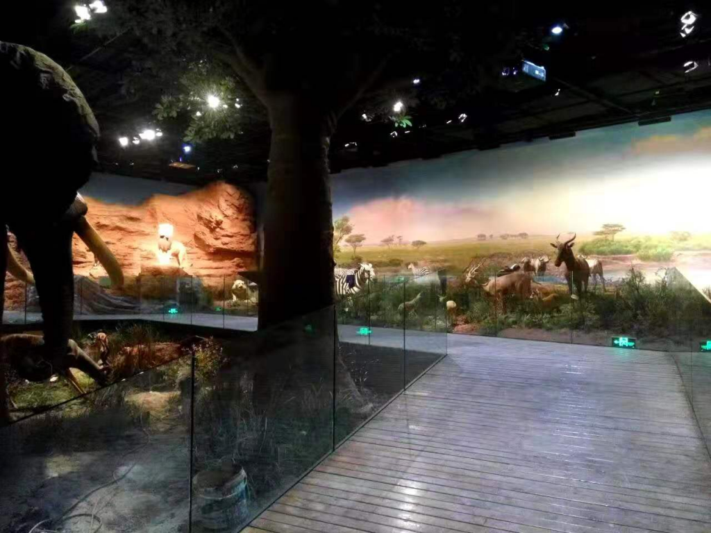 杭州自然博物馆