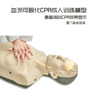 血流可视化CPR半身成人模型