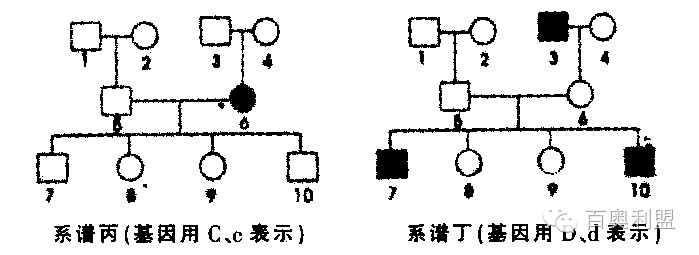0 (2).png 0 (2).png