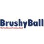 brushball