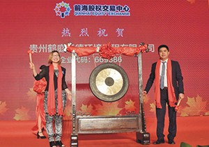 2017年7月，在深圳前海股权交易中心成功挂牌