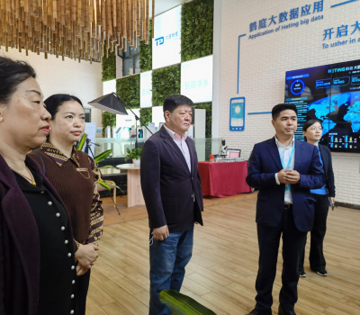贵阳市政协宋平副主席率队走访市政协委员企业