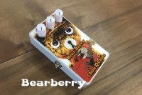 Bearberry