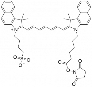ICG NHS ester