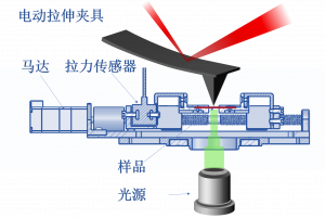 AFM电动拉伸夹具概念图
