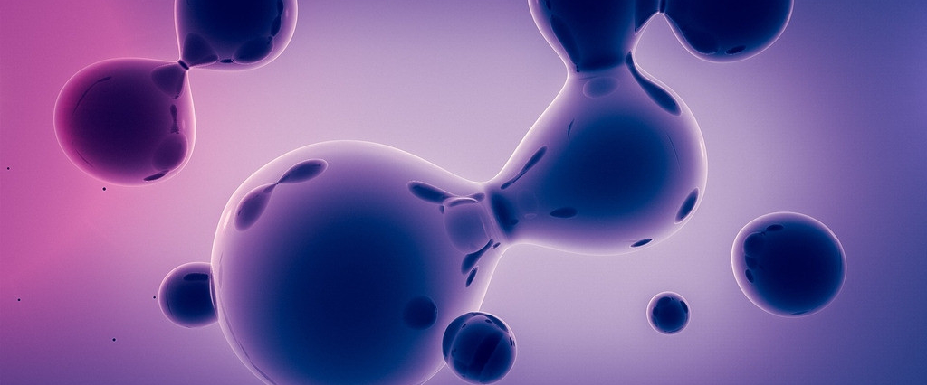 13258436_102153128163_2