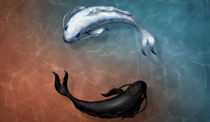 drbl_koi (1)