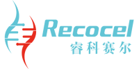 2.4