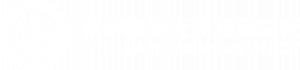 珠海领翼学校LOGO--透明白字