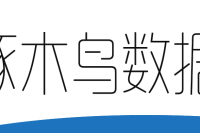啄木鸟数据分析工具