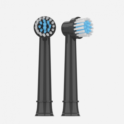 T2231 brush head