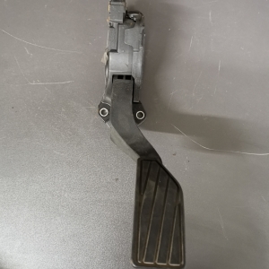 pedal_ (29)