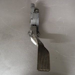 pedal_ (31)
