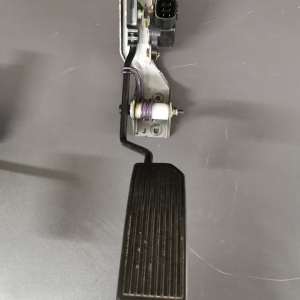 pedal_ (15)