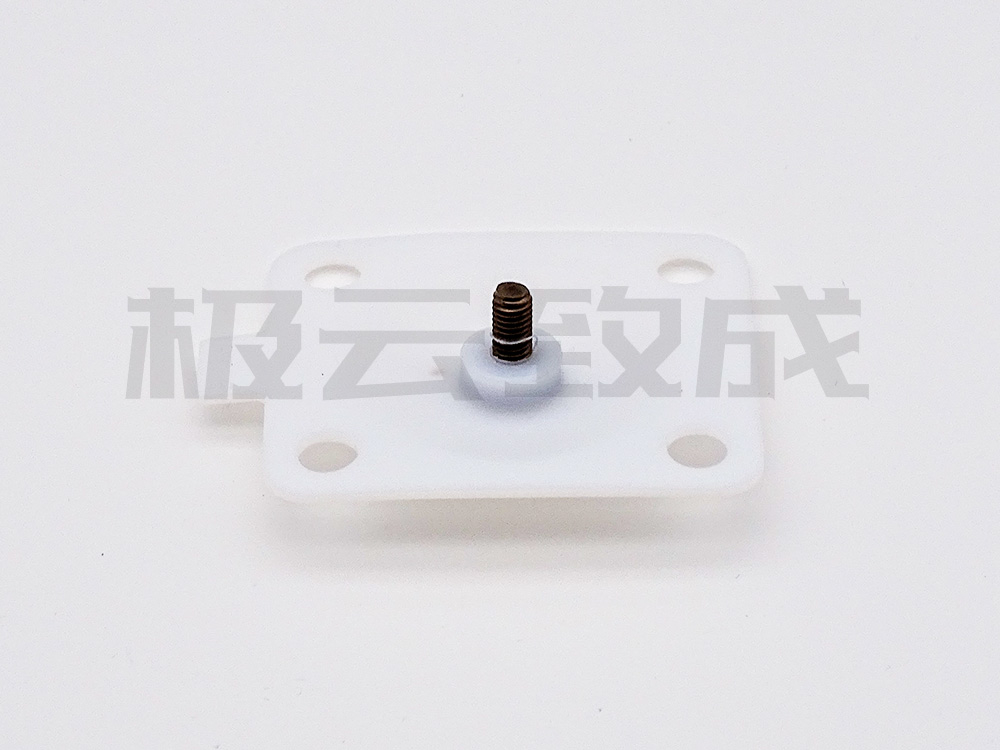 白1