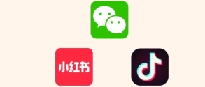營銷視角 FY25 10