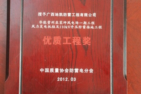 10-“中國(guó)防雷影響力評(píng)選”優(yōu)質(zhì)工程獎(jiǎng)（獲獎(jiǎng)項(xiàng)目：華能韭菜坪風(fēng)電場(chǎng)一期工程風(fēng)力發(fā)電機(jī)組及110kV防雷接地工程）