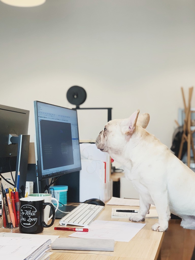 office (3)