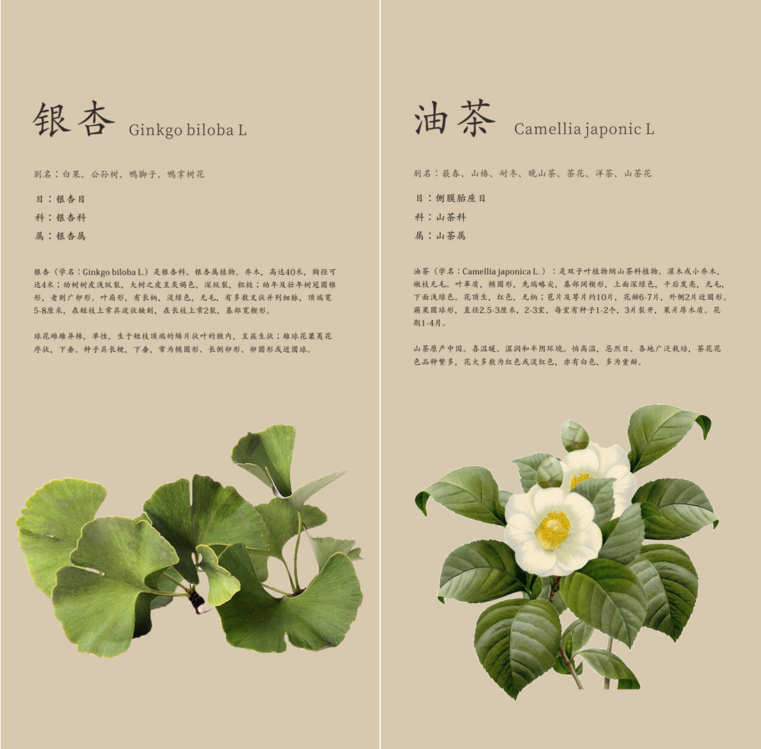 福马设计| 黄柏山林宿