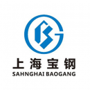 上海宝钢logo