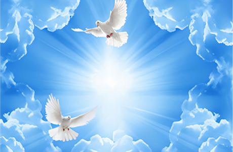 d216d777fc0277fb8ece110f2837b84a