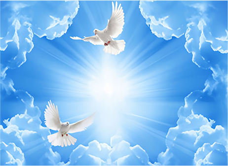 d216d777fc0277fb8ece110f2837b84a