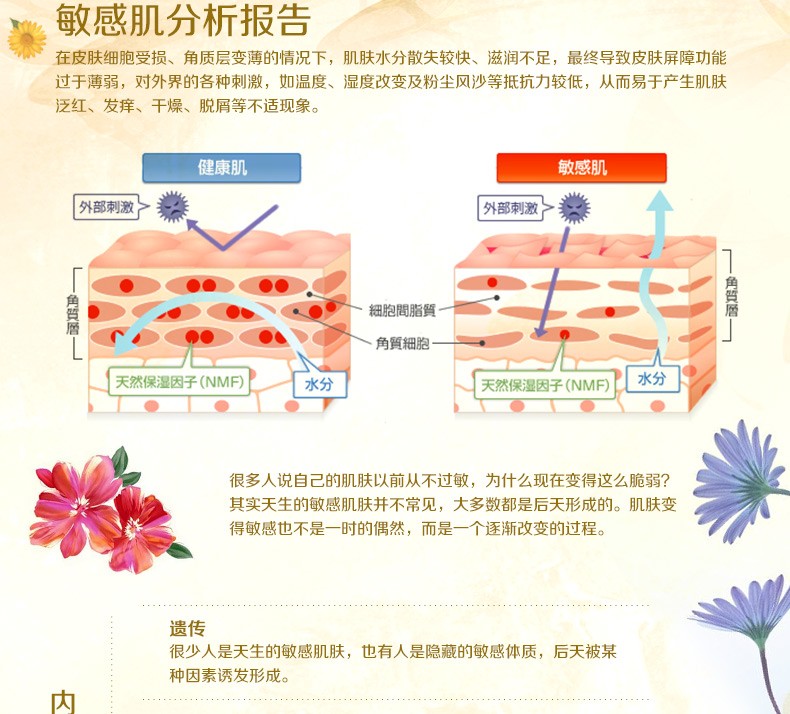 2016洋甘菊详情页_05