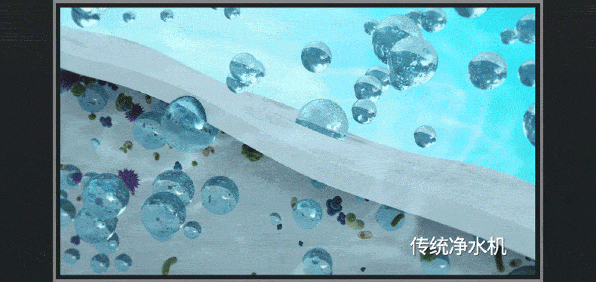 HONG-regular_01-2
