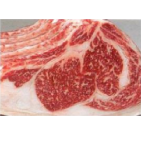 日本神戶牛肉