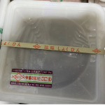 芝麻小八爪1