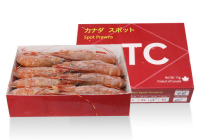ATC 牡丹蝦