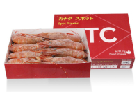 ATC 牡丹蝦