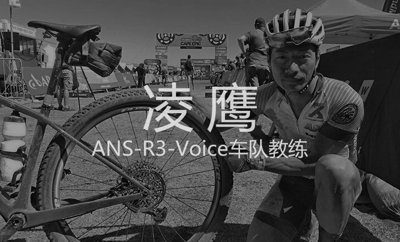 凌鹰