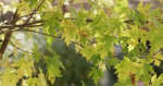 b01f8a0f19525fd3e0526a864585f9a5.png