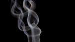 f1e603fe95a276fd8ec22ecd043a22bb.png