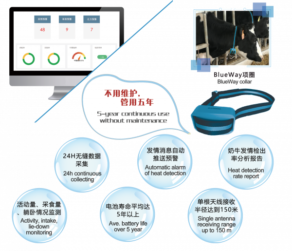 发情