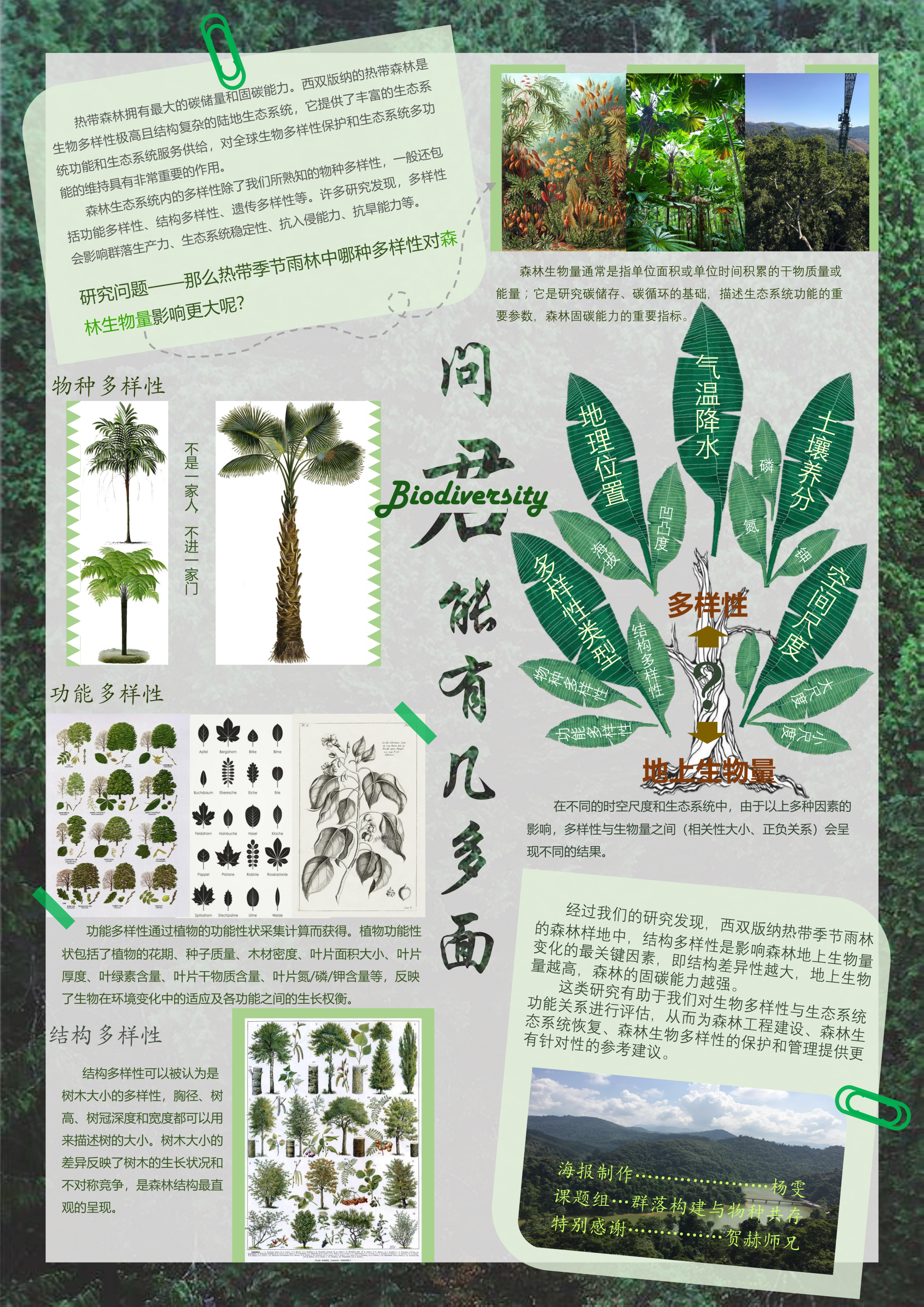 杨雯-问君能有几多面？