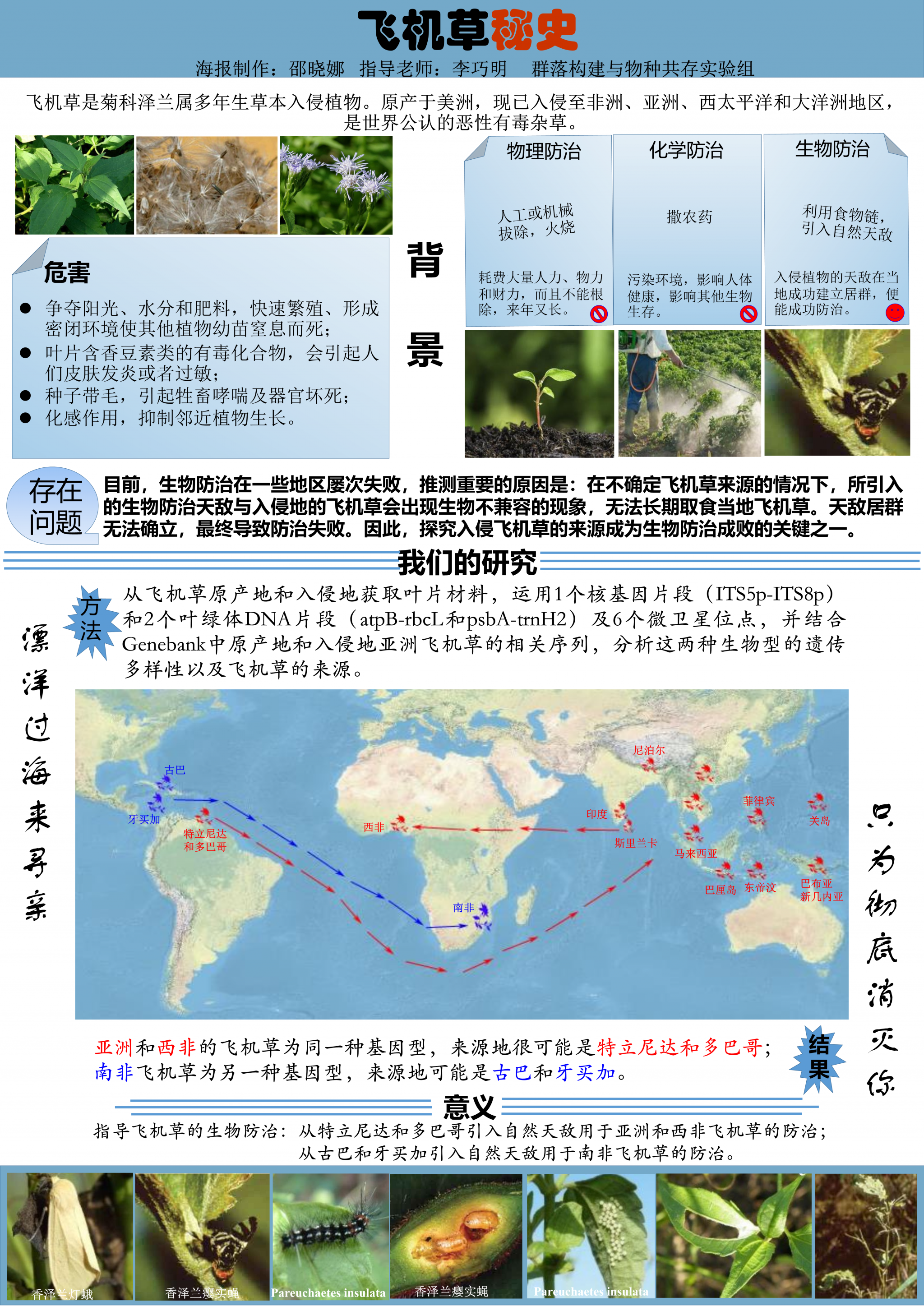 邵晓娜-飞机草秘史