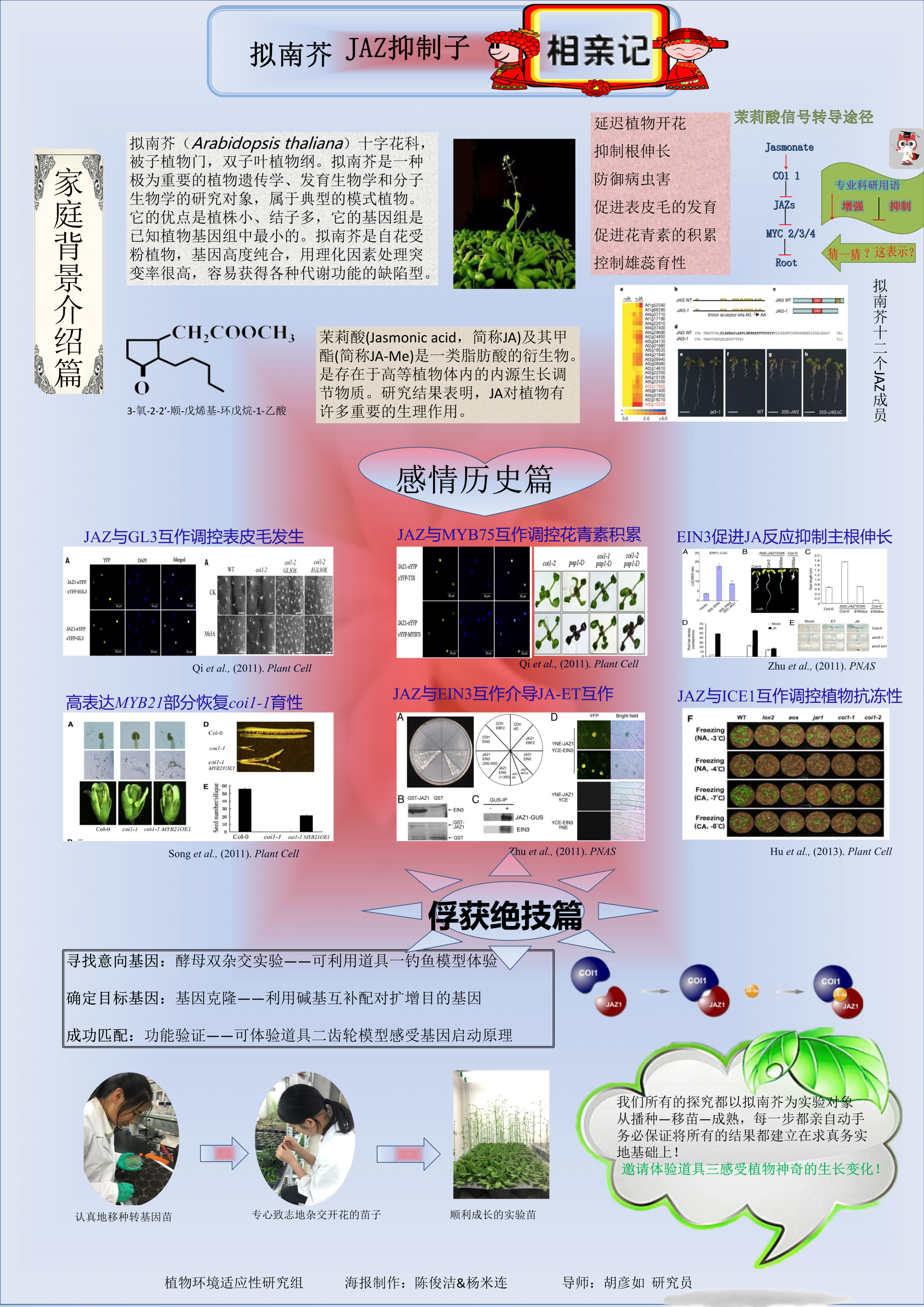 拟南芥JAZ抑制子相亲记