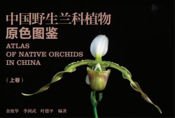 《中国野生兰科植物原色图鉴》正式出版
