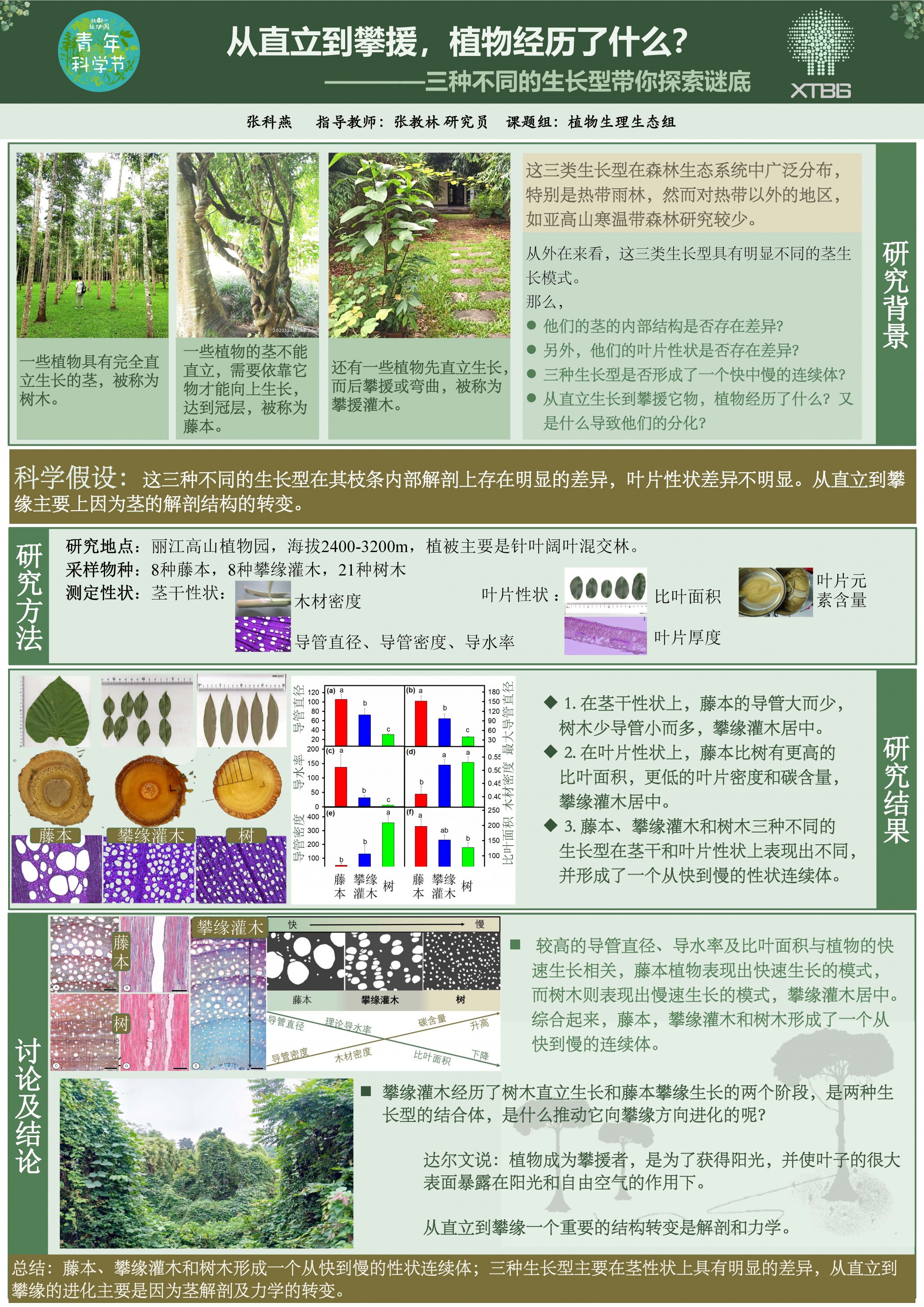 2-7 张科燕_从直立到攀援，植物经历了什么？v3_sf