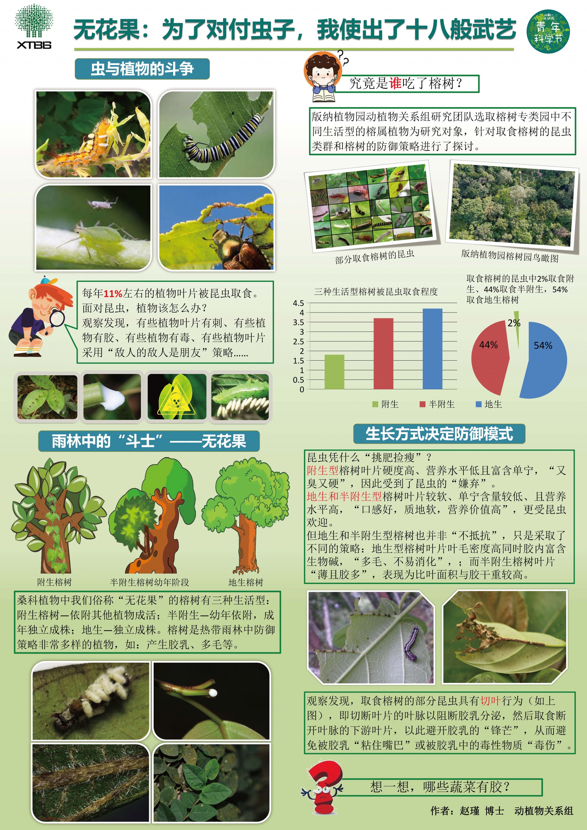 3-3 赵瑾 无花果 为了对付虫子，我使出了十八般武艺