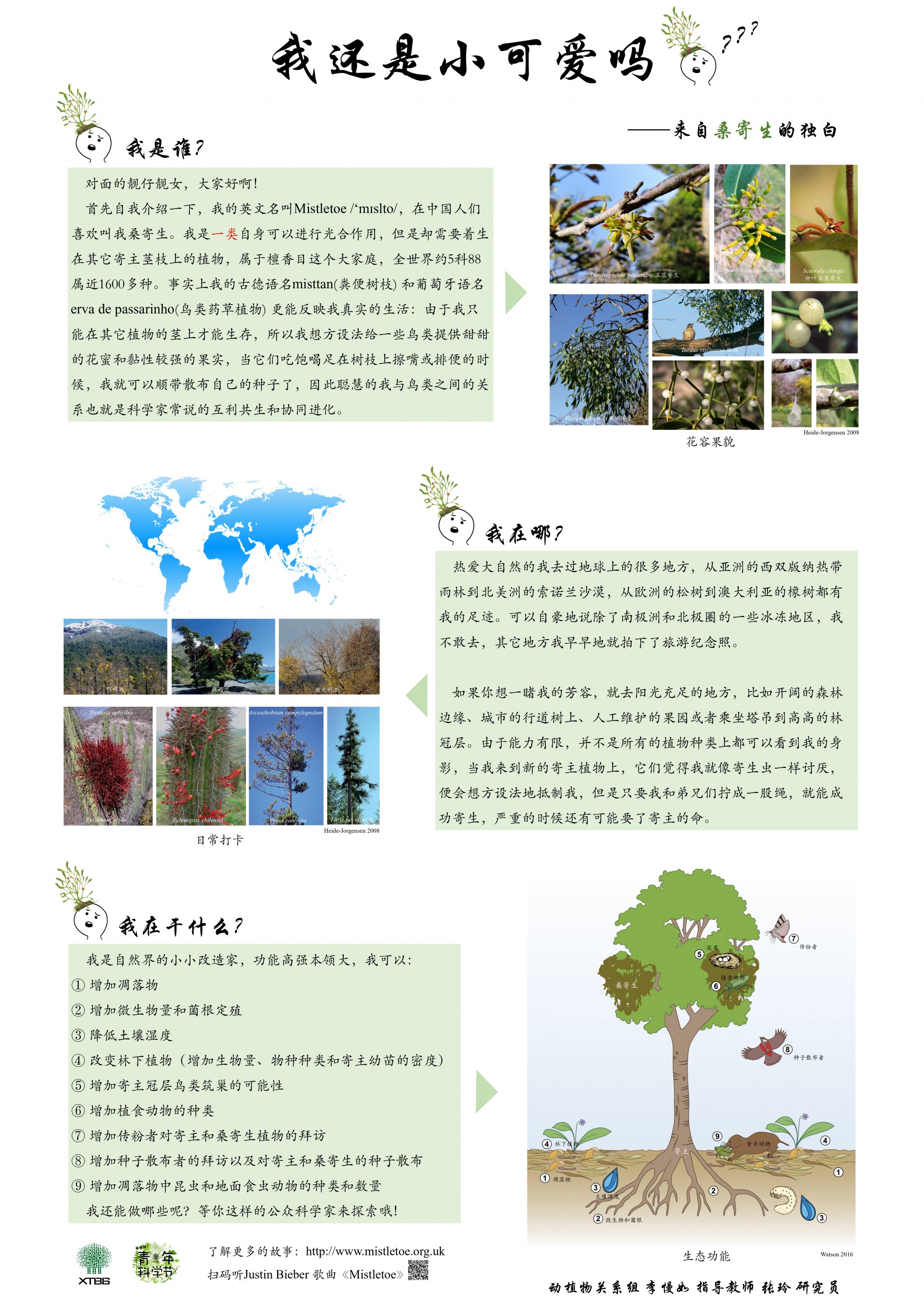 我还是小可爱吗（作者：李慢如）