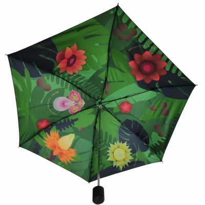 绿叶红花雨伞