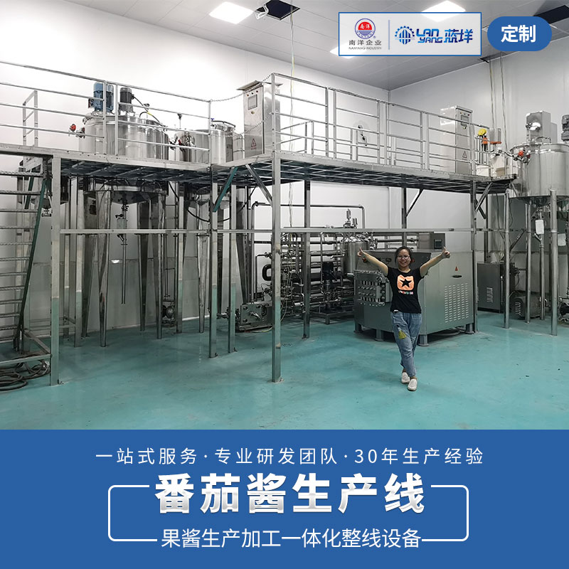 番茄酱加工生产线 (1)