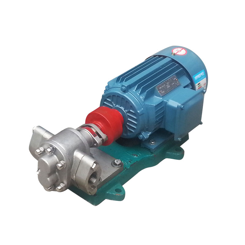 输送泵——齿轮泵+过滤器 (5)