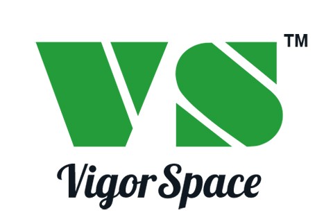 logo_vs_jpg