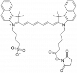 ICG NHS ester
