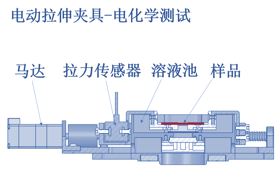 AFM電動拉伸夾具-電化學應用