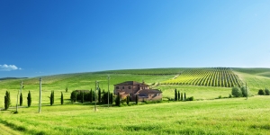 1016_green farm